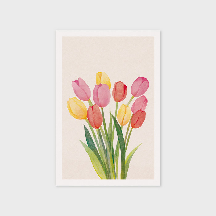 Watercolor tulip NP31 엽서 인테리어엽서 감성